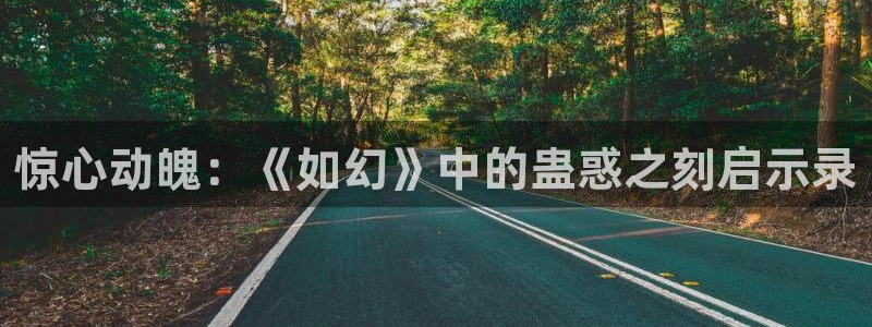 78动漫怎么打不开了