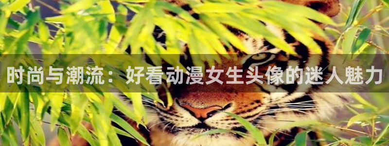 78动漫社：时尚与潮流：好看动漫女生头像的迷人魅力